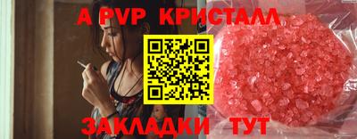 спиды Дубна
